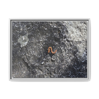 Volcanic Ash and Copper - Unique Stretched Canvas Wall Art