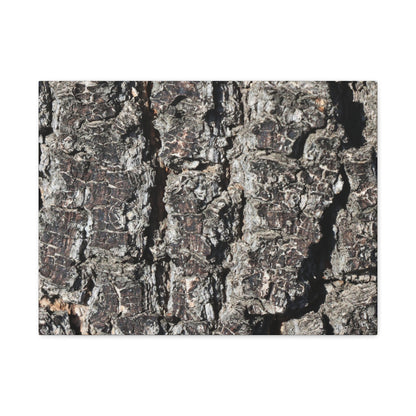 Cracked Skin of Earth - Unique Frameless Canvas Wall Art