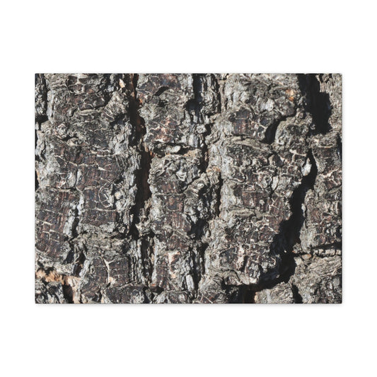 Cracked Skin of Earth - Unique Frameless Canvas Wall Art
