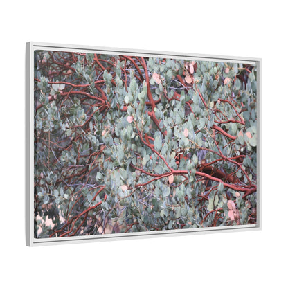 Whispers of Sage - Unique Stretched Canvas Wall Art