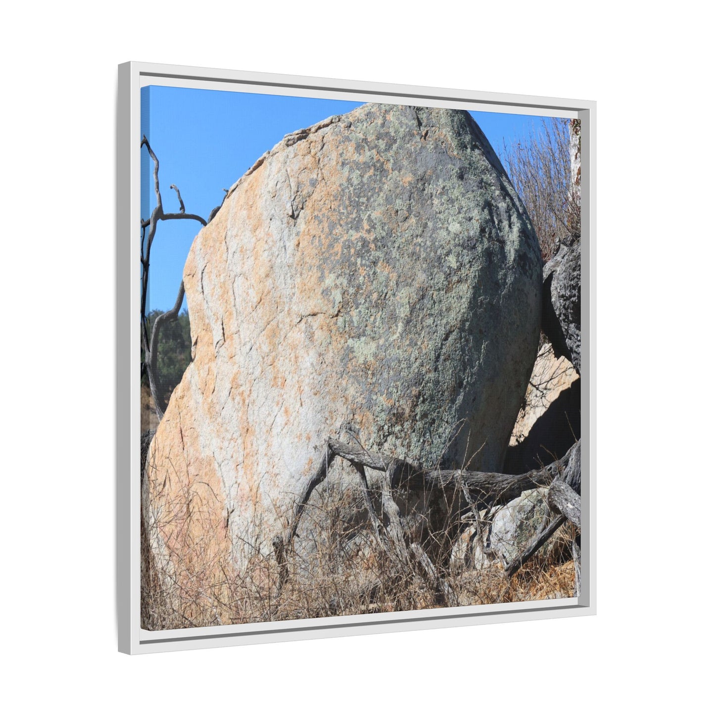 Stony Sentinel - Unique Stretched Canvas Wall Art - Art By Earth