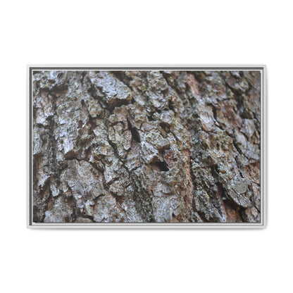 Woodland Canvas - Unique Stretched Canvas Wall Art