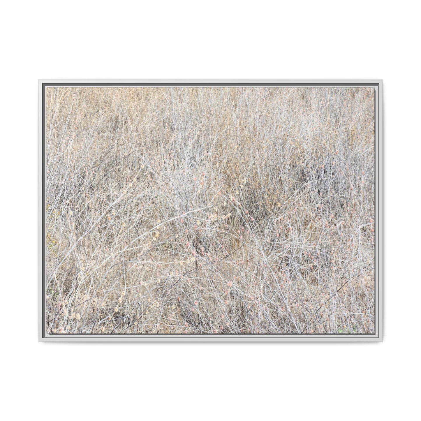 Faded Memories - Unique Stretched Canvas Wall Art - Art By Earth