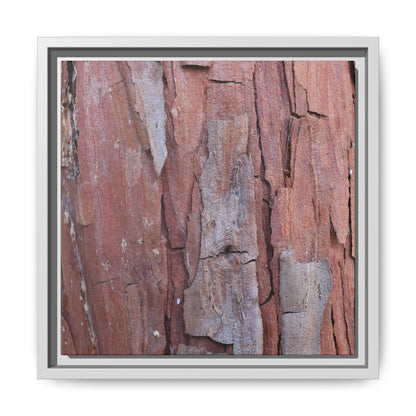 Peeling Bark - Unique Stretched Canvas Wall Art