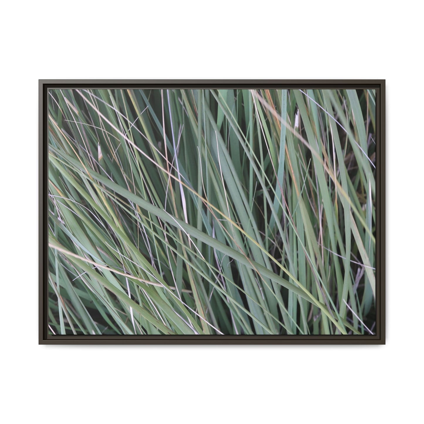 Grassland Symphony - Unique Stretched Canvas Wall Art