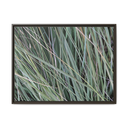 Grassland Symphony - Unique Stretched Canvas Wall Art