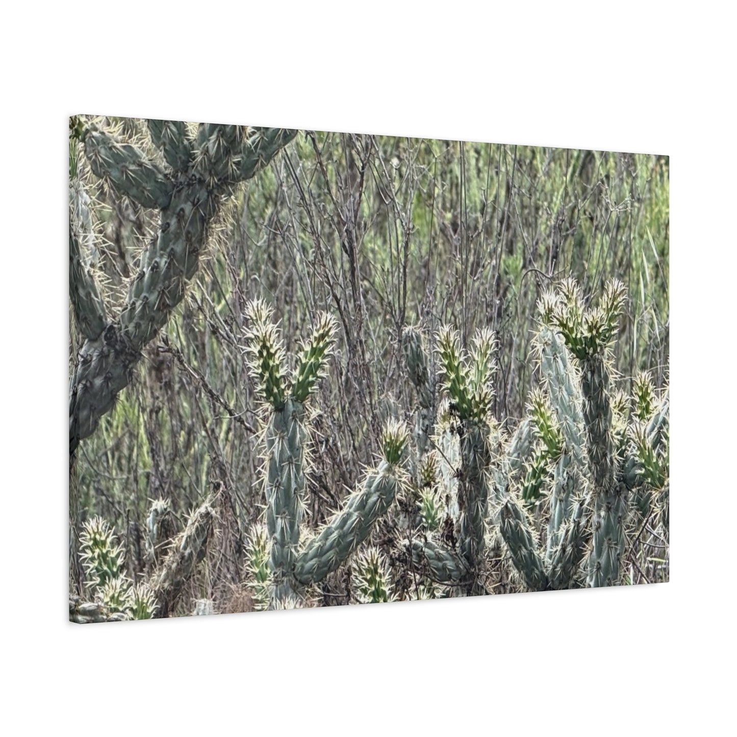 Spiny Sentinels - Unique Frameless Canvas Wall Art