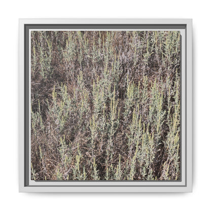 Sage Fields Forever - Unique Stretched Canvas Wall Art - Art By Earth