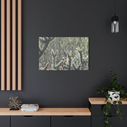 Spiny Sentinels - Unique Frameless Canvas Wall Art