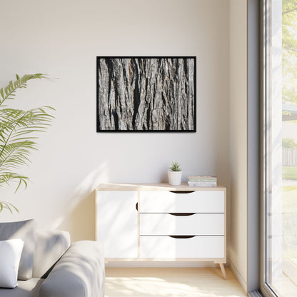 Bark Lines - Unique Stretched Canvas Wall Art