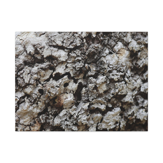 Cracked Earth Tapestry - Unique Frameless Canvas Wall Art
