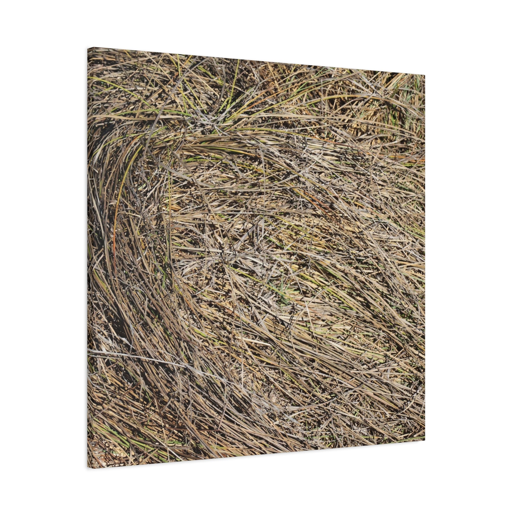 Tangled Hay - Unique Stretched Canvas Wall Art - Art By Earth
