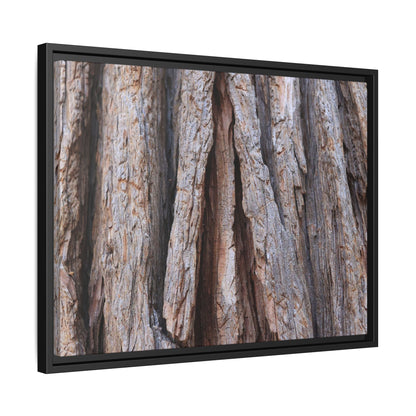 Nature's Sculpture - Unique Stretched Canvas Wall Art