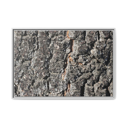 Aged Beauty - Unique Stretched Canvas Wall Art