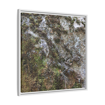 Mossy Whispers - Unique Stretched Canvas Wall Art