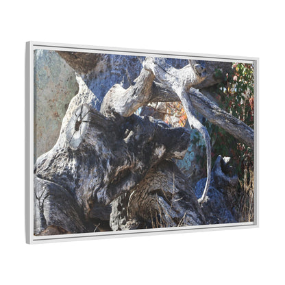 Resilient Roots - Unique Stretched Canvas Wall Art - Art By Earth