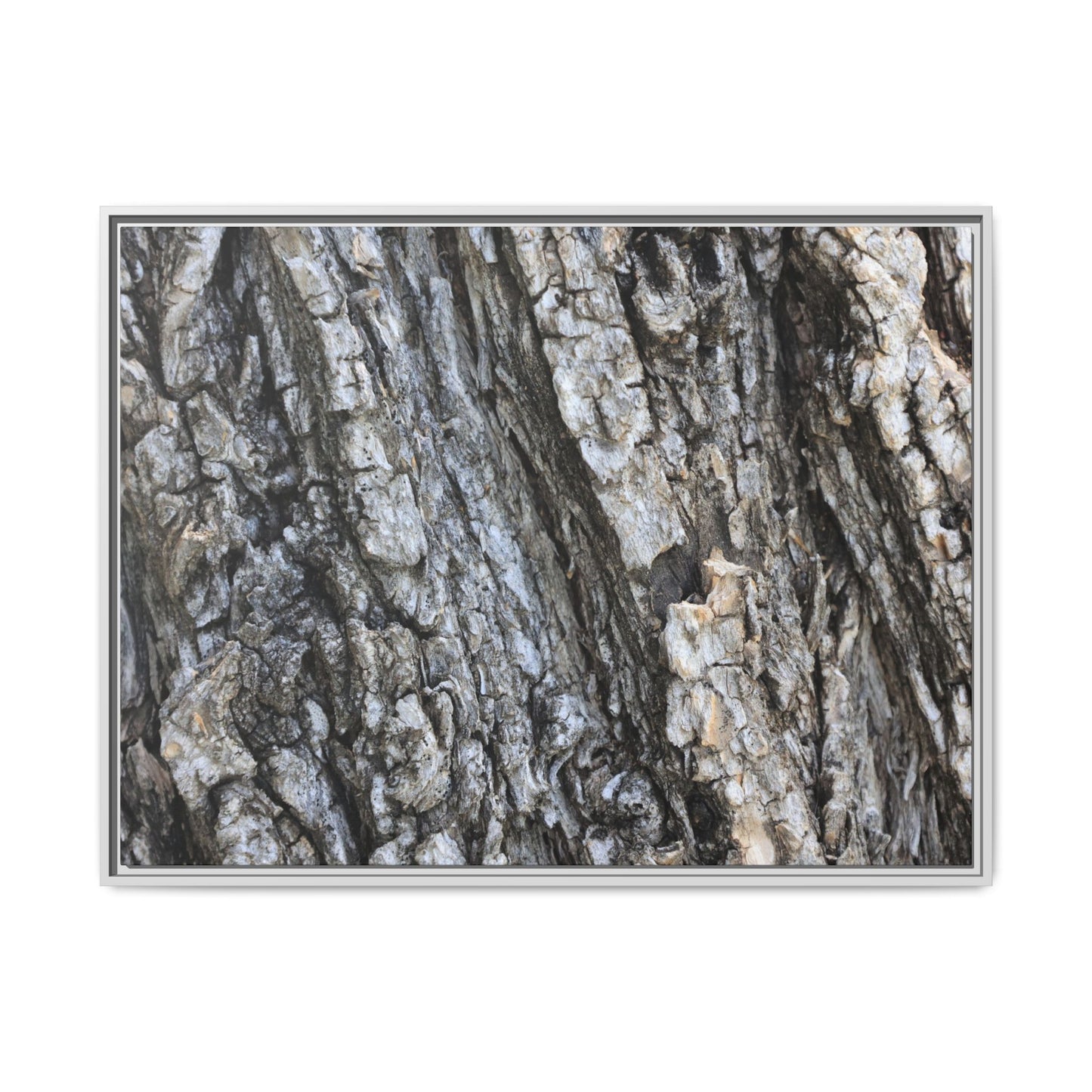 Twisted Textures - Unique Stretched Canvas Wall Art