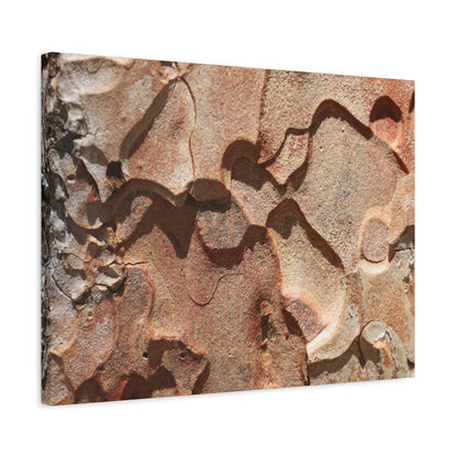 Terracotta Echoes - Unique Frameless Canvas Wall Art
