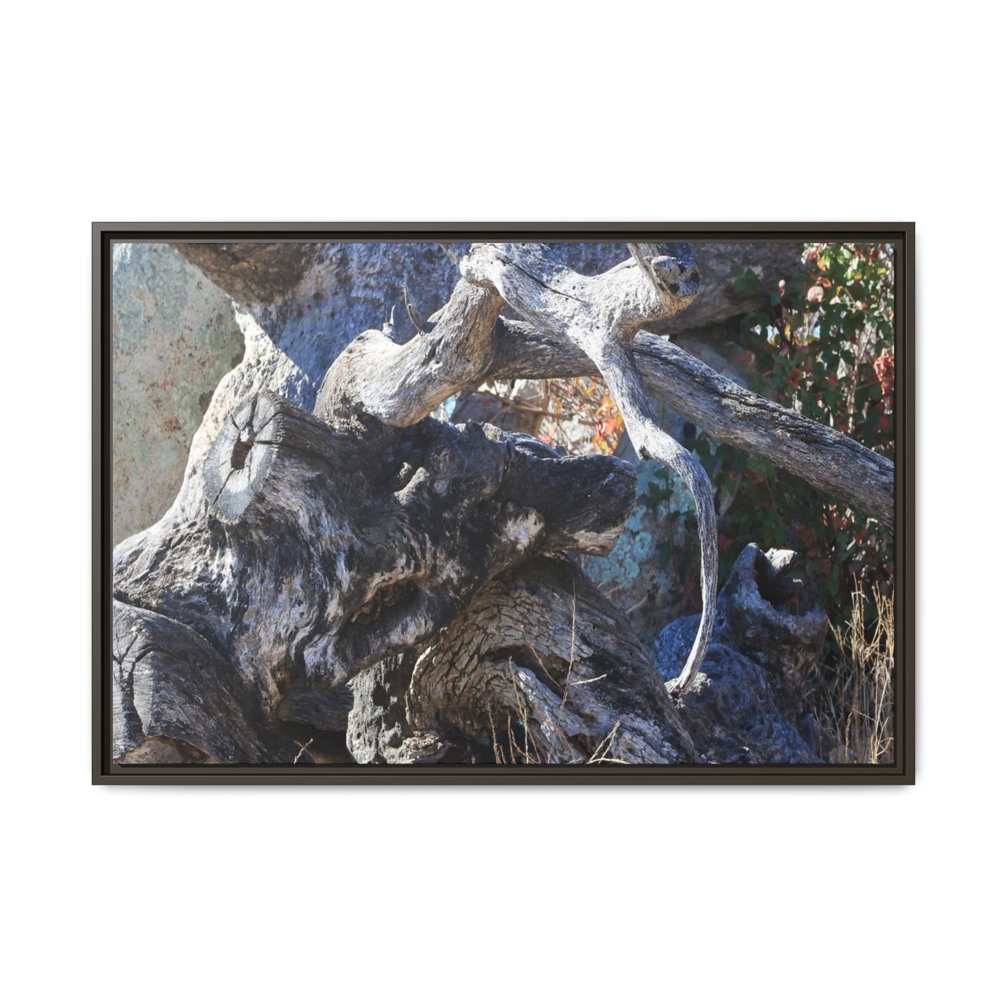 Resilient Roots - Unique Stretched Canvas Wall Art - Art By Earth