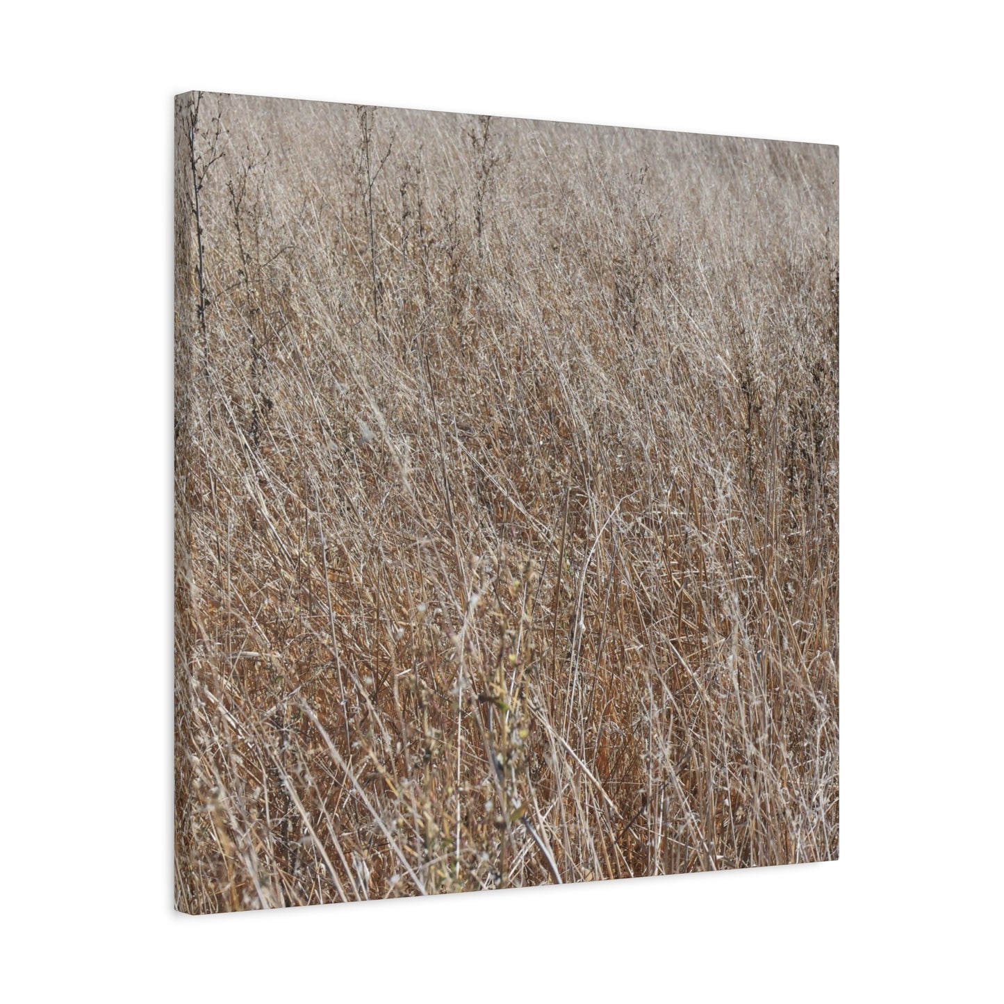 Whispers of Autumn - Unique Frameless Canvas Wall Art - Art By Earth