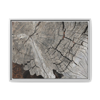 Time's Signature - Unique Stretched Canvas Wall Art