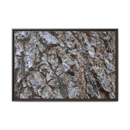 Woodland Canvas - Unique Stretched Canvas Wall Art