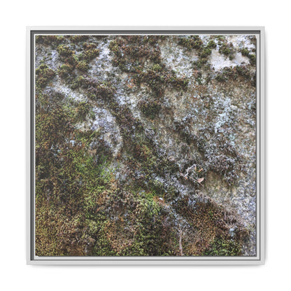 Mossy Whispers - Unique Stretched Canvas Wall Art