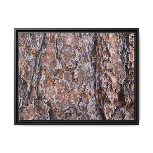 Woody Layers - Unique Stretched Canvas Wall Art