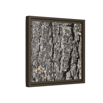 Bark Study in Gray - Unique Stretched Canvas Wall Art