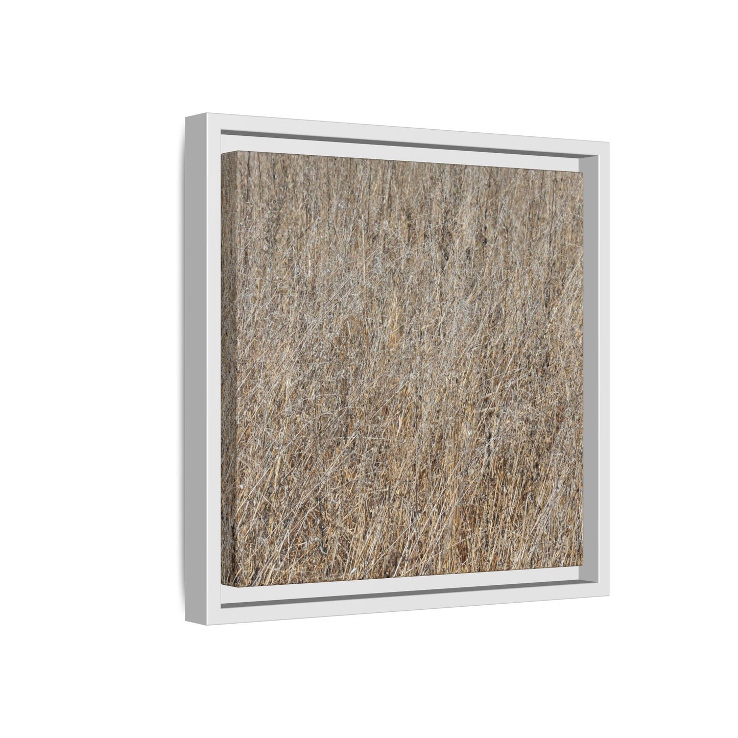 Whispers of Straw - Unique Stretched Canvas Wall Art - Art By Earth