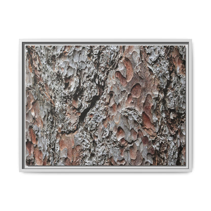 Bark Texture Symphony - Unique Stretched Canvas Wall Art