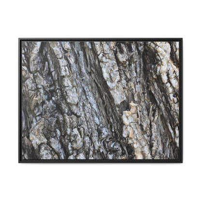 Twisted Textures - Unique Stretched Canvas Wall Art