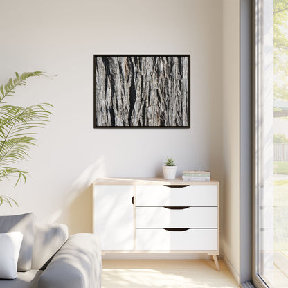 Bark Lines - Unique Stretched Canvas Wall Art