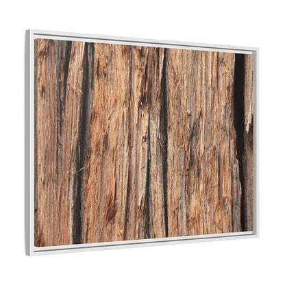 Timber Echoes - Unique Stretched Canvas Wall Art