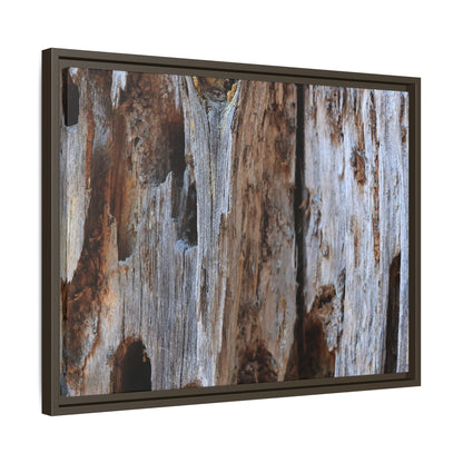Decaying Splendor - Unique Stretched Canvas Wall Art
