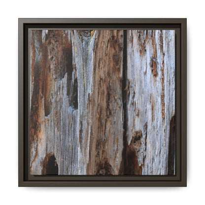 Decaying Splendor - Unique Stretched Canvas Wall Art