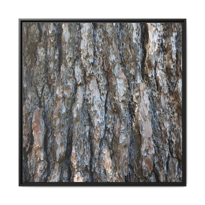 Bark Whispers - Unique Stretched Canvas Wall Art