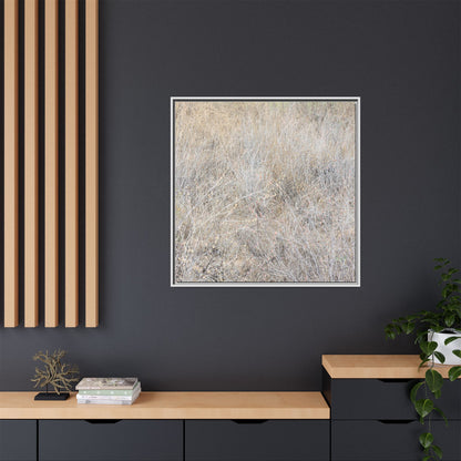 Whispers of Dry Grass - Unique Stretched Canvas Wall Art - Art By Earth