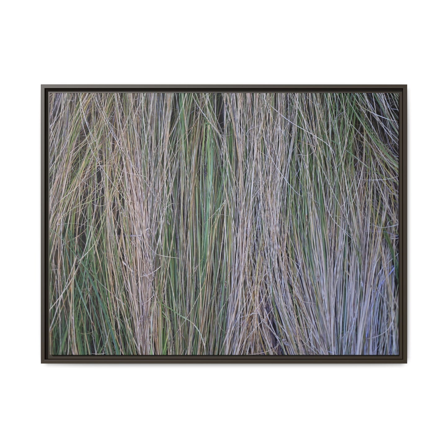 Whispers of Silver Grass - Unique Stretched Canvas Wall Art