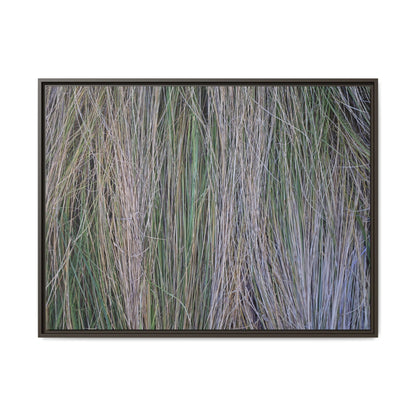 Whispers of Silver Grass - Unique Stretched Canvas Wall Art