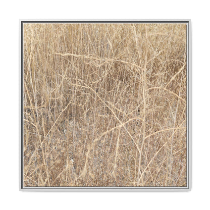 Golden Stalks - Unique Stretched Canvas Wall Art