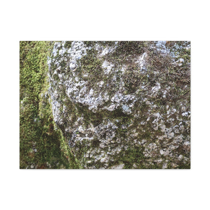 Moss and Stone Whispers - Unique Frameless Canvas Wall Art