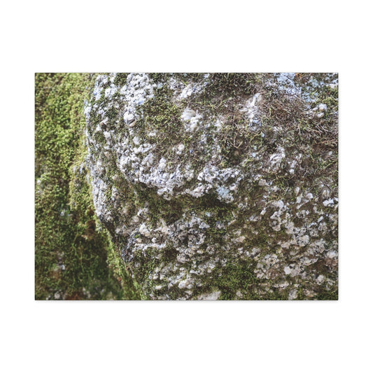 Moss and Stone Whispers - Unique Frameless Canvas Wall Art