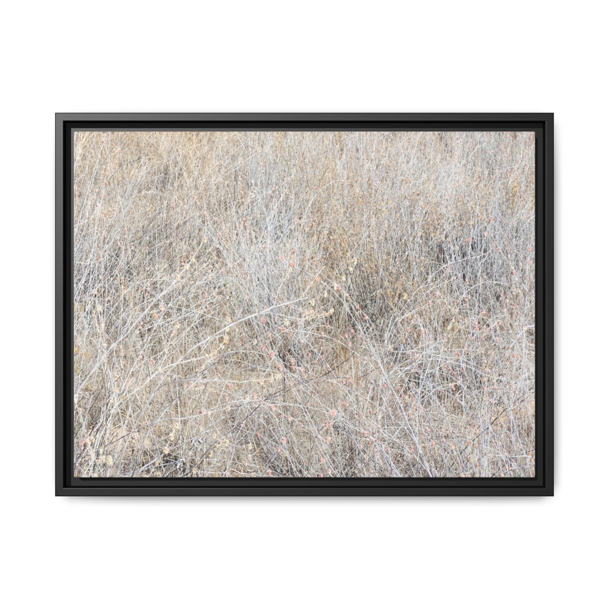 Whispers of Dry Grass - Unique Stretched Canvas Wall Art - Art By Earth
