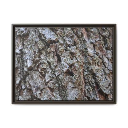 Woodland Canvas - Unique Stretched Canvas Wall Art