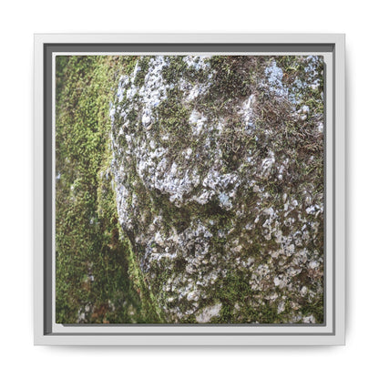 Lichen Landscape - Unique Stretched Canvas Wall Art