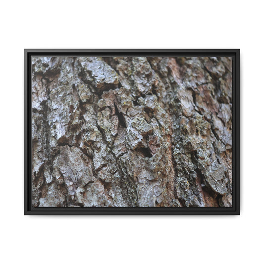 Woodland Canvas - Unique Stretched Canvas Wall Art