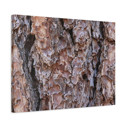 Rough Canvas - Unique Frameless Canvas Wall Art