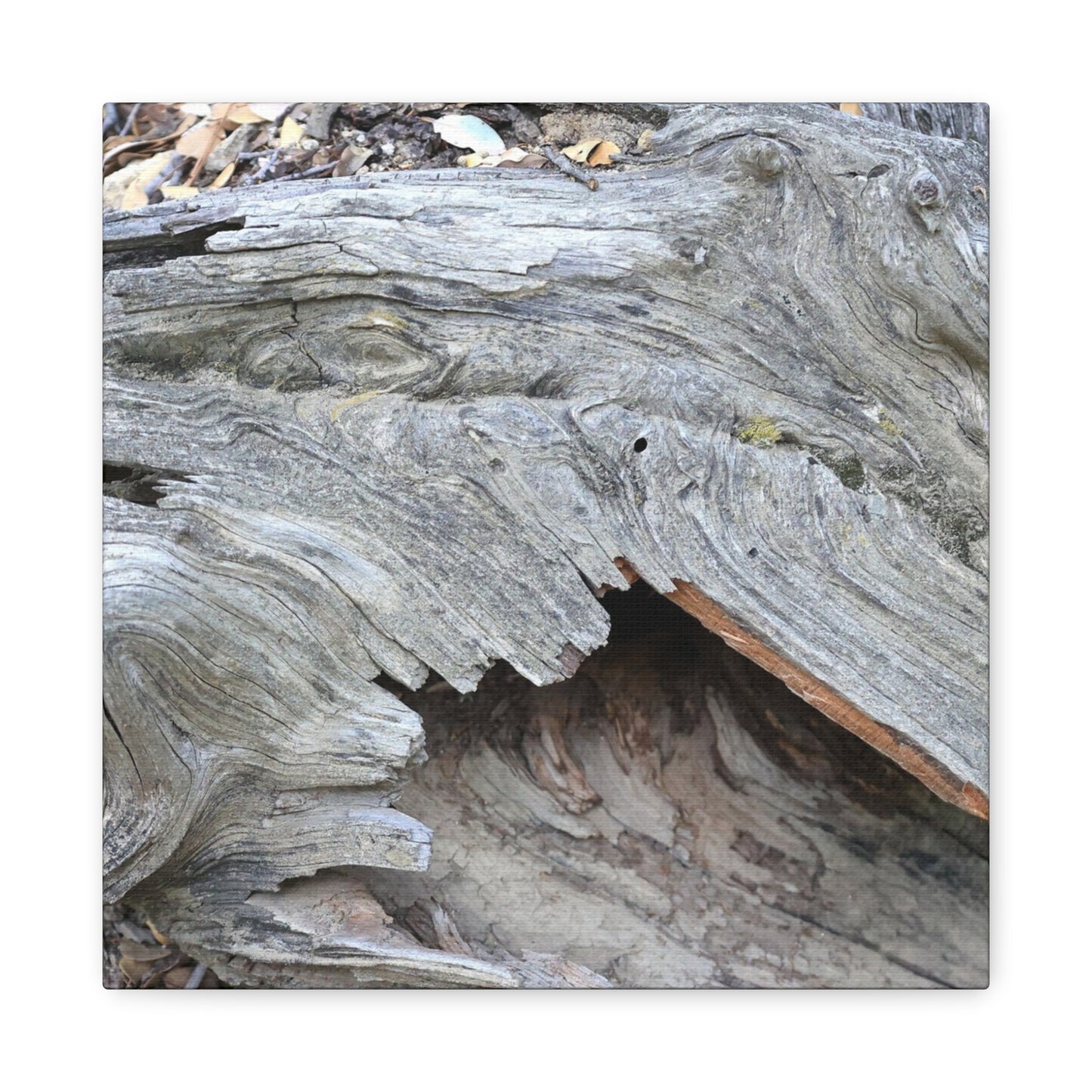 Whispers of Ancient Wood - Unique Frameless Canvas Wall Art