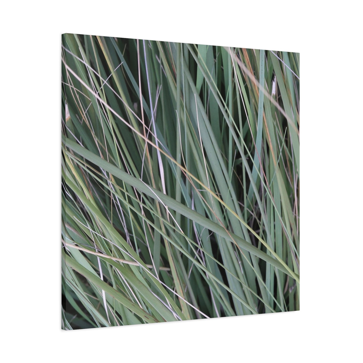 Whispers of Green - Unique Frameless Canvas Wall Art